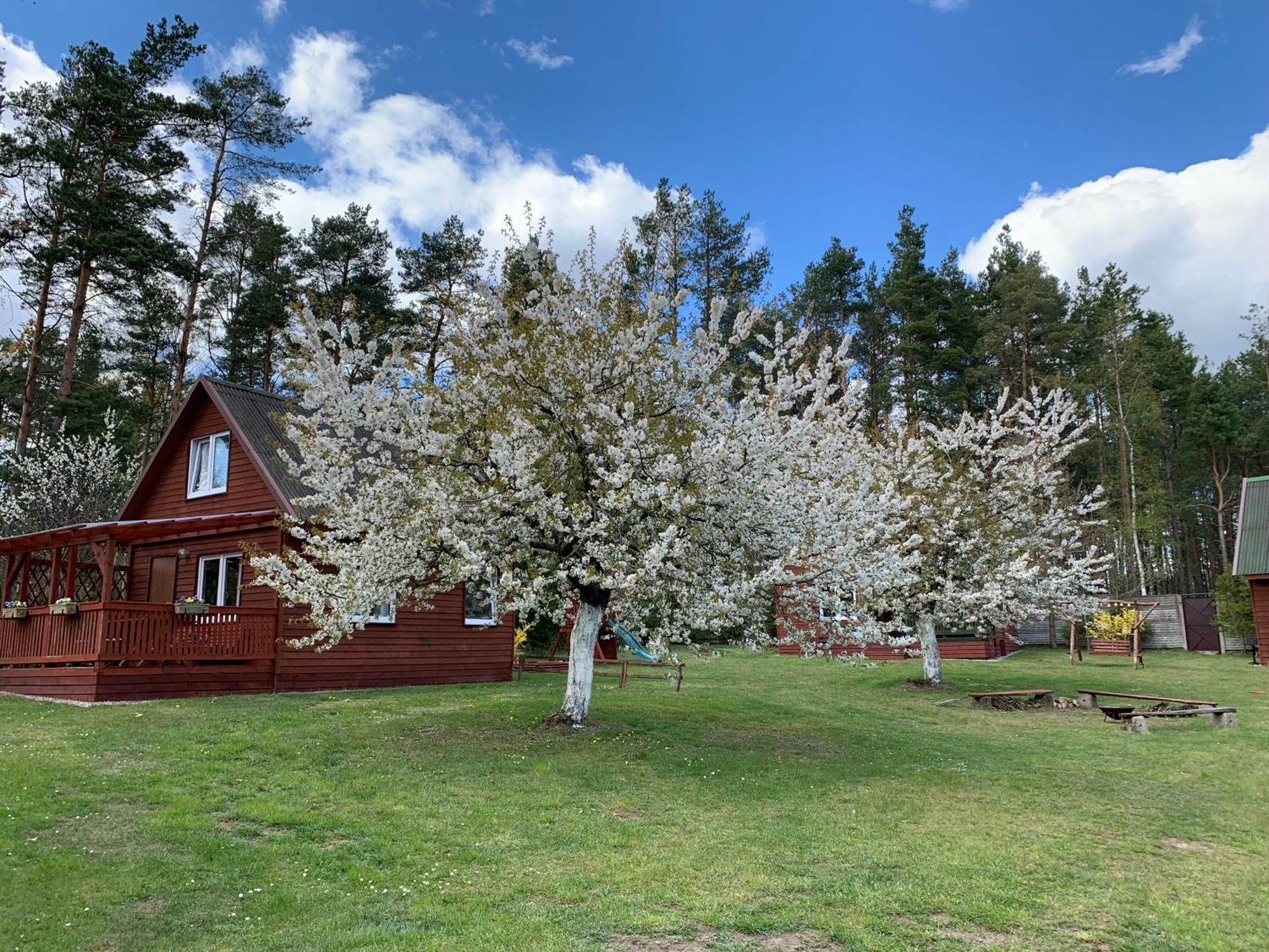 Gryfne Kaszuby Vila Kamienica Krolewska Exterior foto